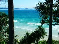 /album/photography/nesian-picture-1-copy-jpg/